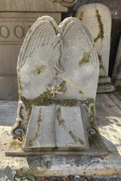 Angel Wings & Book Headstone