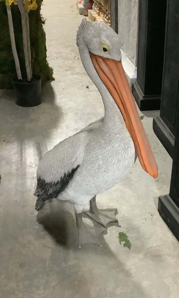 Pelican