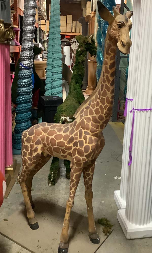 Baby giraffe 6 foot