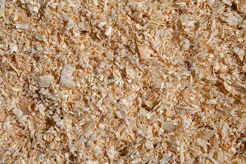 Pine Shavings