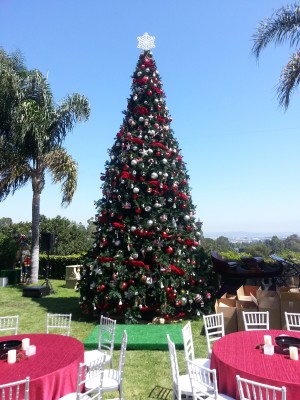 Christmas Tree: Artificial 25 ft.