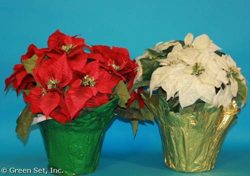 Poinsettias 8 in