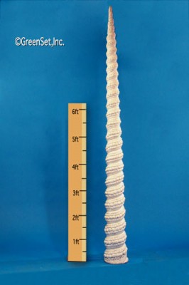 Spiral Column: 10 Ft