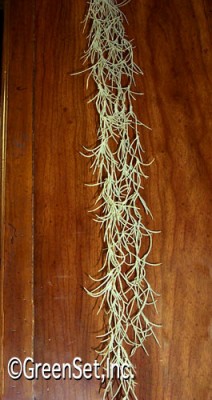 Faux Spanish Moss