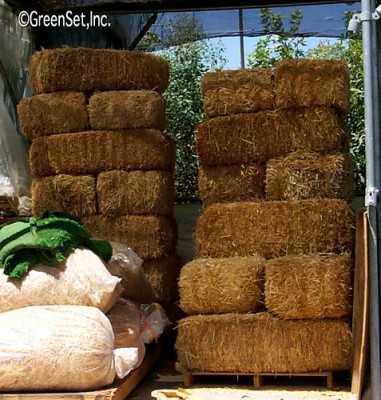 Straw Bales