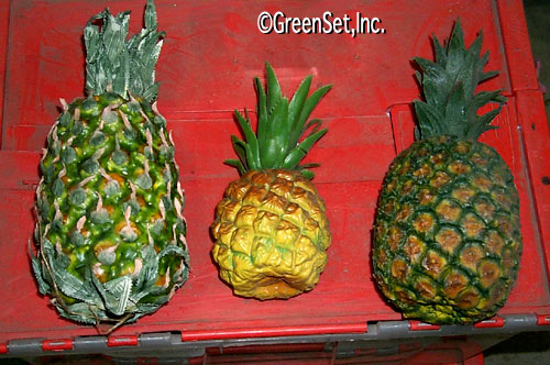 Artificial Pineapples