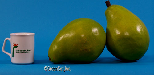 Artificial Pears