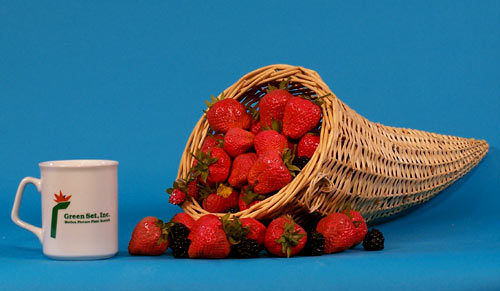 Artificial Strawberries