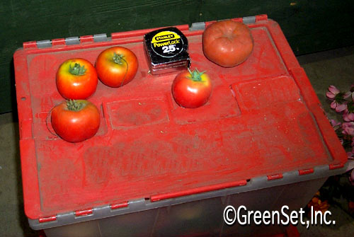 Artificial Tomatoes