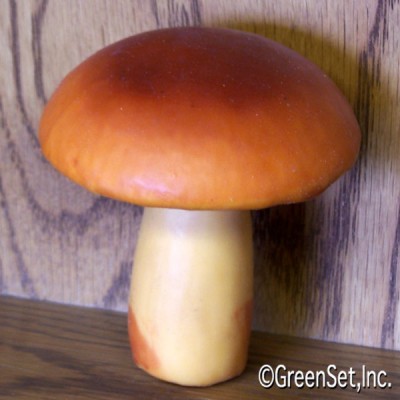 Mushroom