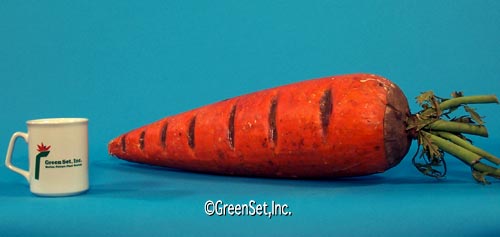 Oversized Carrot