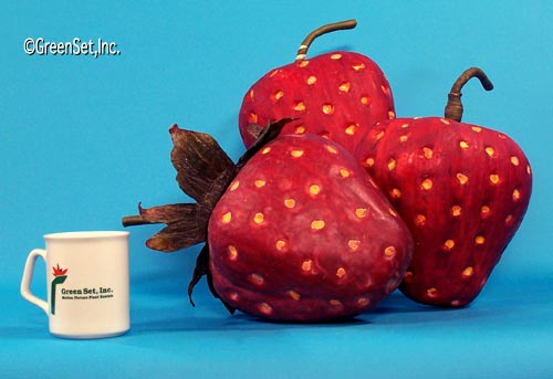 Oversize Strawberries