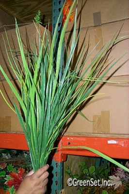 Bear Grass Foliage