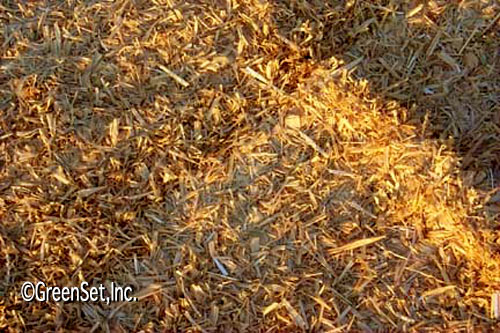 Brown Grassmat Close Up