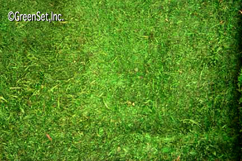 Green Grassmat