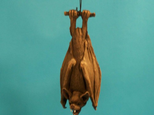 Hanging Bat