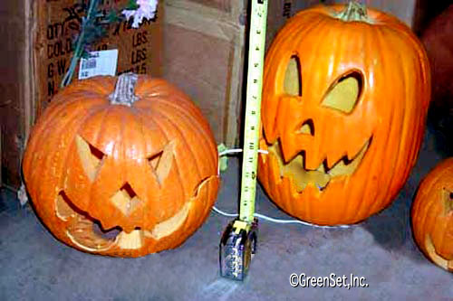 Assorted Scary Face Pumpkins