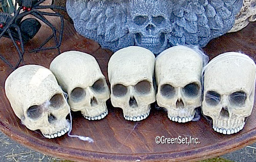 Skulls