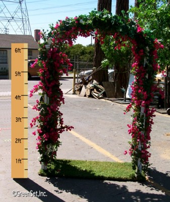 Wedding Arch 7X8