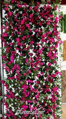 Lattice with silk bougainvillea