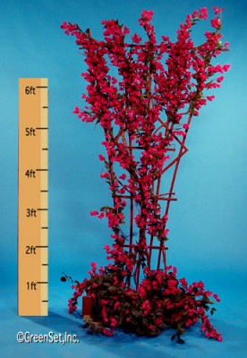 Bougainvillea Trellis