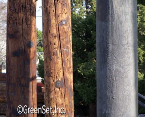 Telephone Poles