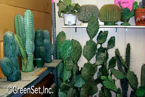 Assorted Plastic Cactus