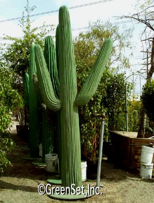 Saguaro Cactus 12'