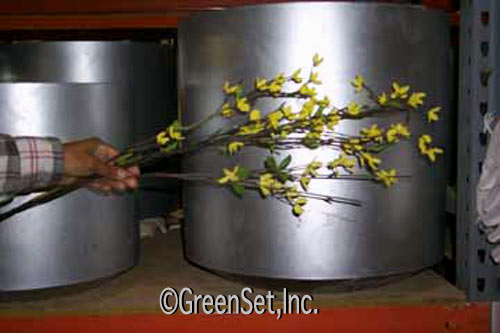 Silk Forsythia Spray