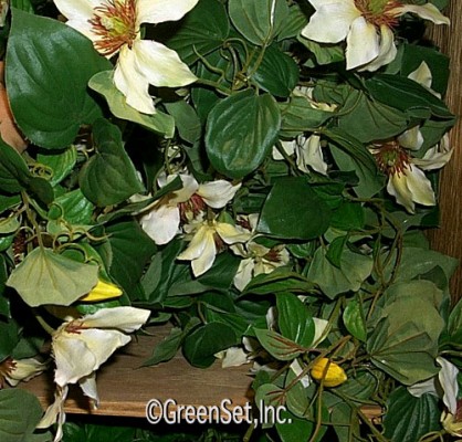 Silk Climatis Vine - cream color