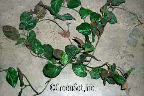 Silk Begonia Vine