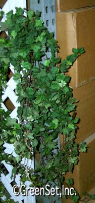 Silk English Ivy