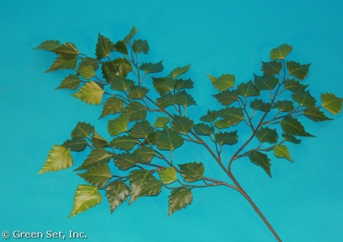 Decorative Foliage