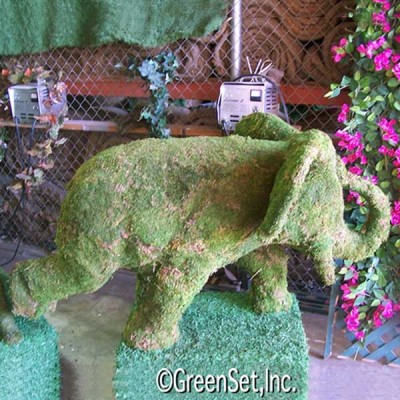 Topiary: Moss Elephant