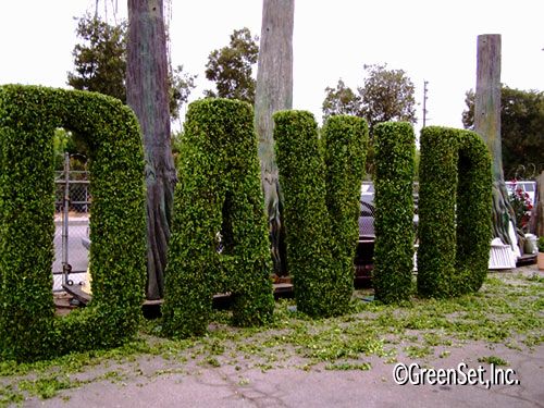 Topiary: Cut Cherry