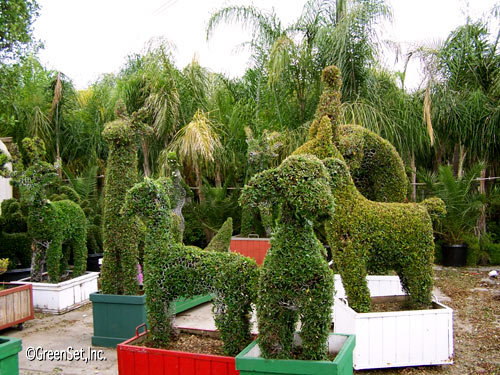 Topiary Assorted