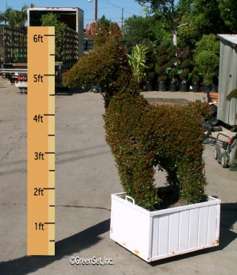 Topiary Horse