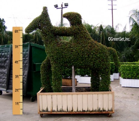 Topiary Horse and Jockey