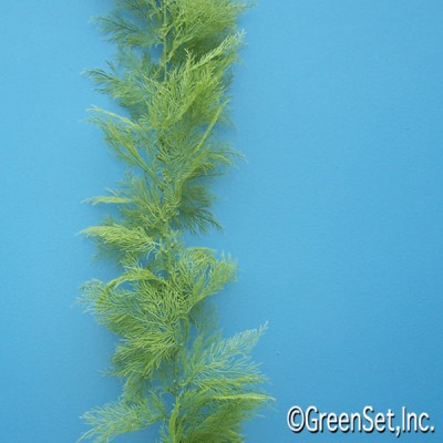 Seaweed 1