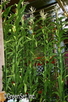 Silk Corn Stalk