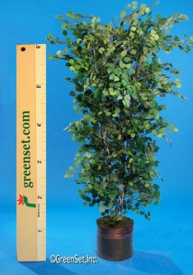 Silk Ficus Benjamina Tree