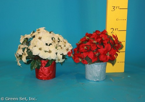 Poinsettias 3 Gallon