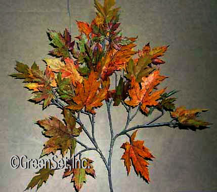 Rock Maple Fall Spray