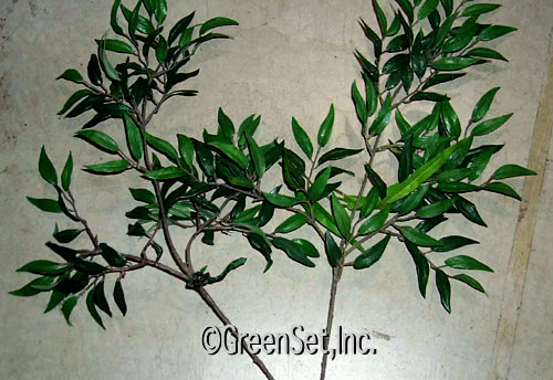 Ruscus Spray