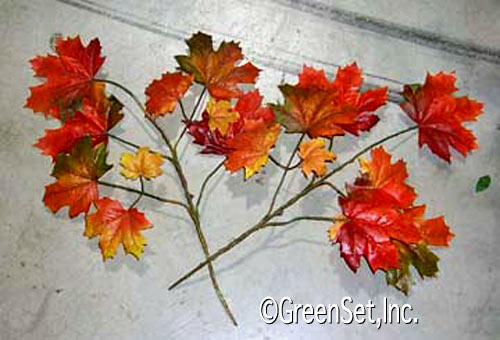 Sugar Maple Fall Sprays