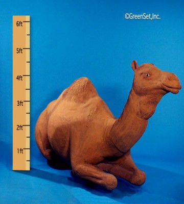 Camel