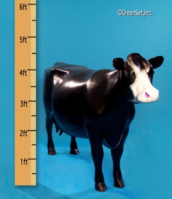 Black Cow-side view