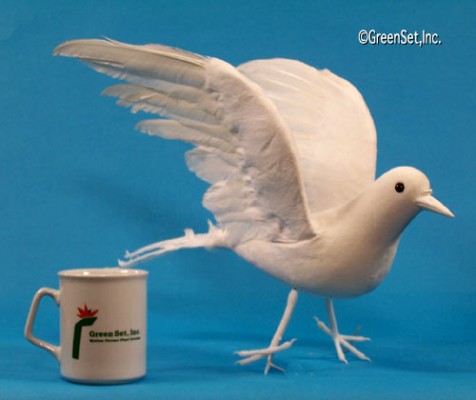 White Dove