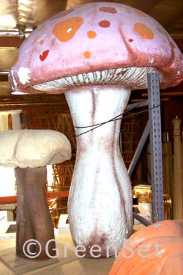 Large Mushroom