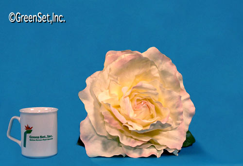 Oversize White Rose